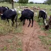 Emmanuel Mollel - @emmanuel.mollel0 - TikTok