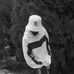 Emmanuel Odeh - Facebook