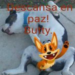 Emmanuel P Pagan - @elbobomontes - Instagram
