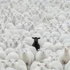 Emmanuel Rios - @emmanuel.rios11 - TikTok
