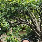 Emmanuel Roca - Facebook