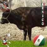Emmanuel Toribio - @toribio.emmanuel - Instagram