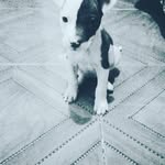 EMMANUEL VALLES GOMEZ - @emanuelvalles_ - Instagram