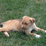 Emme - @emme.porter - Instagram
