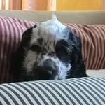 Bruce Emmett - @bruce.emmett - Instagram