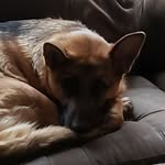 Emmett Dodd - @ranger_peep - Instagram