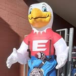 Emmett the Eagle - @emmertoneaglessbcusd - Instagram