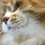 Emmett Gray - @mrl0kibe4r - Instagram
