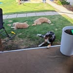 Emmett Gray - @emmett.gray.549 - Instagram