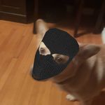 Emmett - @hicks.emmett - Instagram