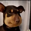 Emmett hicks - @emmett123897 - TikTok