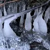 Emmett Hicks - @emmett.hicks4 - TikTok