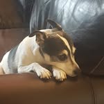 Emmett Jackson - @emmettjackson560 - Instagram