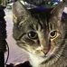 Emmett Jackson - Facebook