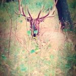 emmett stoddard - @emmettstoddard55 - Instagram