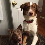 Annie & Emmett White - @annie.and.emmett - Instagram