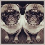 Emmett J Pugglesworth - @emmettjpugglesworth - Instagram