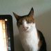 Emmie Lamp - Facebook