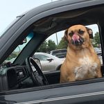 Emmie Rogers - @rogers.emmie - Instagram