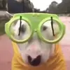 Emmie Rogers - @emmierogers402 - TikTok
