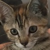 emmy_benson12 - @emmy_benson12 - TikTok
