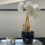 Emmy Davis - @emmy_art_nz - Instagram