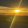 Emmy Davis - @emmy.davis16 - TikTok