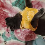 Emmy Muñoz Tapia 😺🫶 - @emma16082014 - Instagram