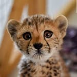Emory Adams - @gvi5imivgvsf - Instagram