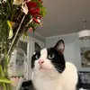 EMORY ALBERT - @emoryalbert - TikTok