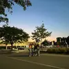 EMORY - @emory_owens - TikTok