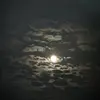 Memoryhill - @memoryhill - TikTok