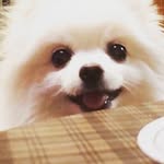 emory jackson - @thetwddead - Instagram