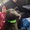 emorymorgan90 - @emorymorgan90 - TikTok