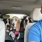 Paul Emory - @paulemory - Instagram