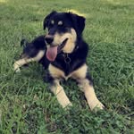 Emory Pierce - @emory_pierce - Instagram