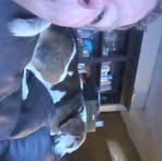 Emory Spurlock - Facebook