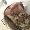 Emy_Kat - @emy_kat88 - TikTok