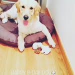 endy_andrea - @endy_andrea - Instagram