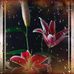 Enedelia Rios - Facebook