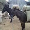 Enedino Ramirez Manzano - @enedinoramirezman - TikTok