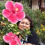 Eneida Gonzalez - @eneida.gonzalez.399041 - Instagram