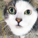 Eneida Mendoza - @eneida.mendoza.123829 - Instagram