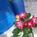 Eneida Sánchez - @eneida.sanchez.14289 - Instagram