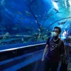 Eng Chong - @eng.chong7 - TikTok