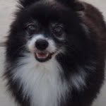 Eng Chong - @engchongcheu - Instagram