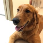Gan Engchong - @engchonggan - Instagram