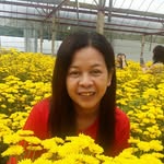Mei Eng Chong - @meiengchong - Instagram