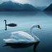 Eng Ngo - Facebook