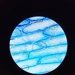@enginharman34 - Instagram